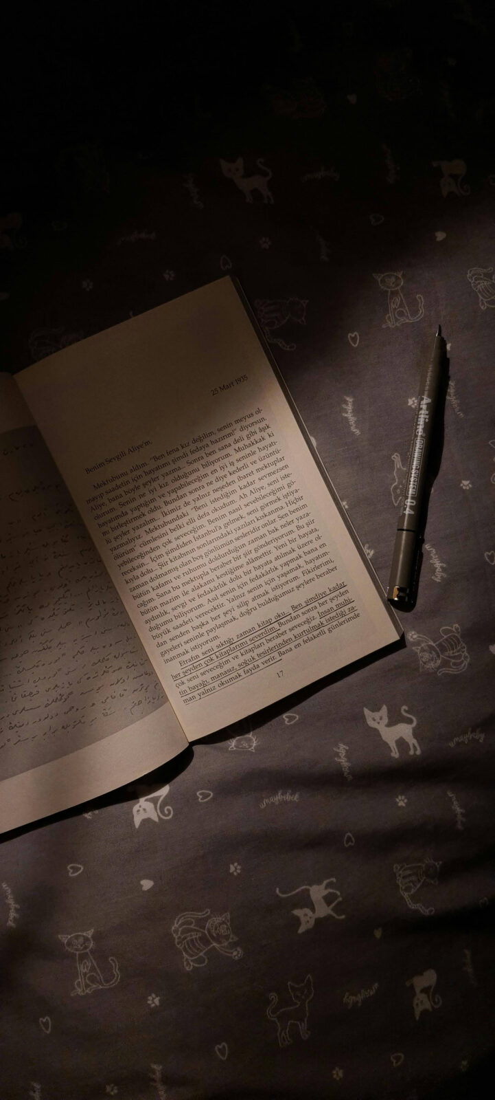 לכתוב דמות עם זהות כפולה